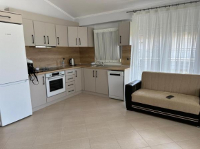 Ayse home